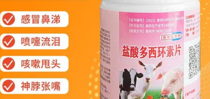 宠贝蒂的制造商与上海育路的关系解析