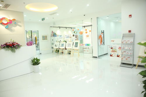 新闻动态 上海育路教育网全新升级，助力学生多元发展