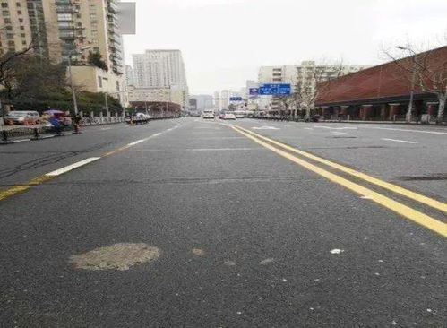 徐汇这5条上海市精品示范路，有在你家附近的吗？